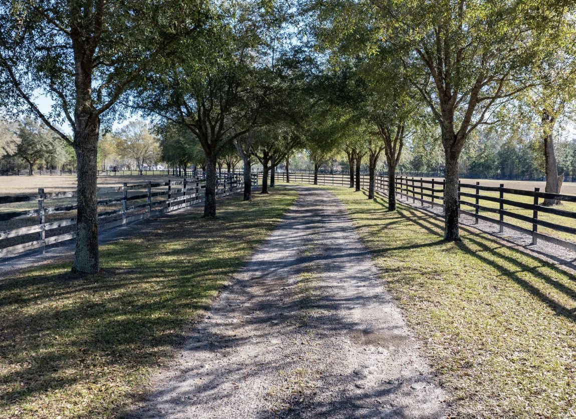 The driveway in afternoon light