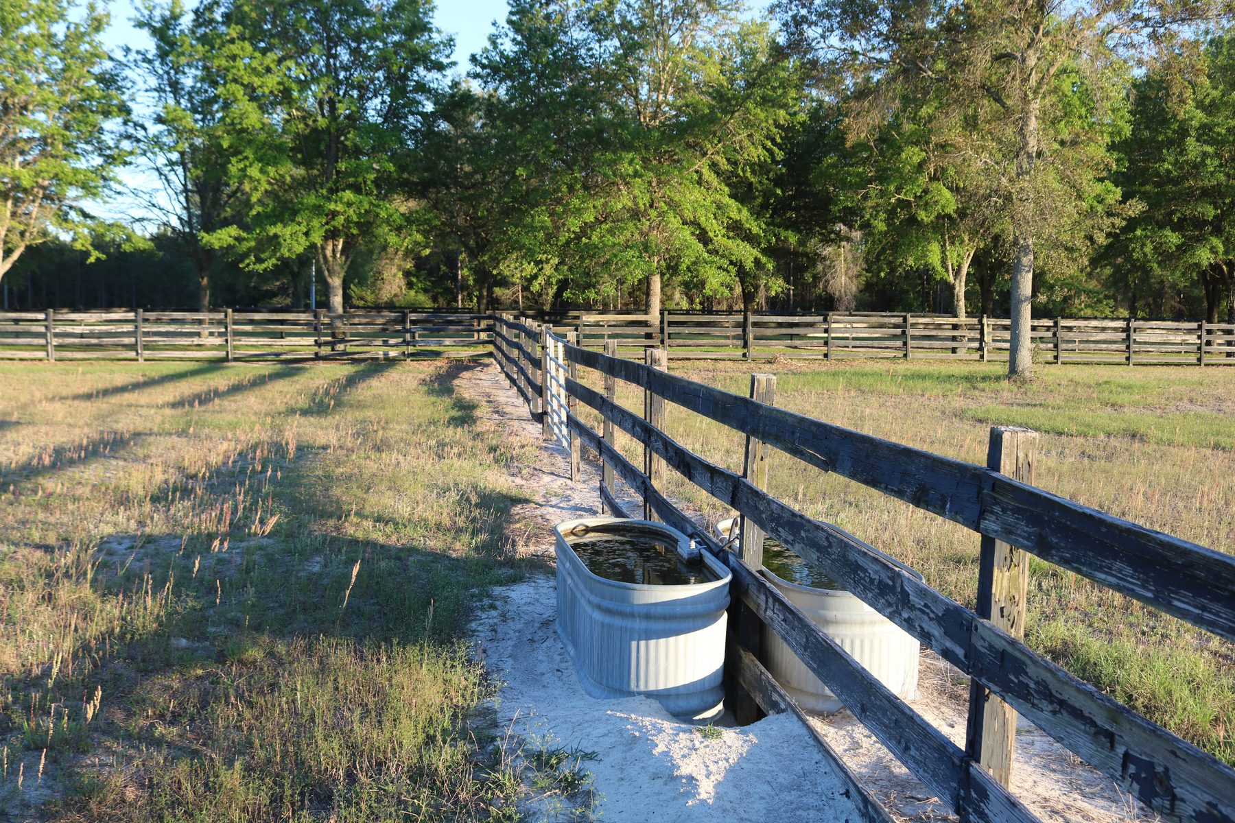Water trough at pasture fence line