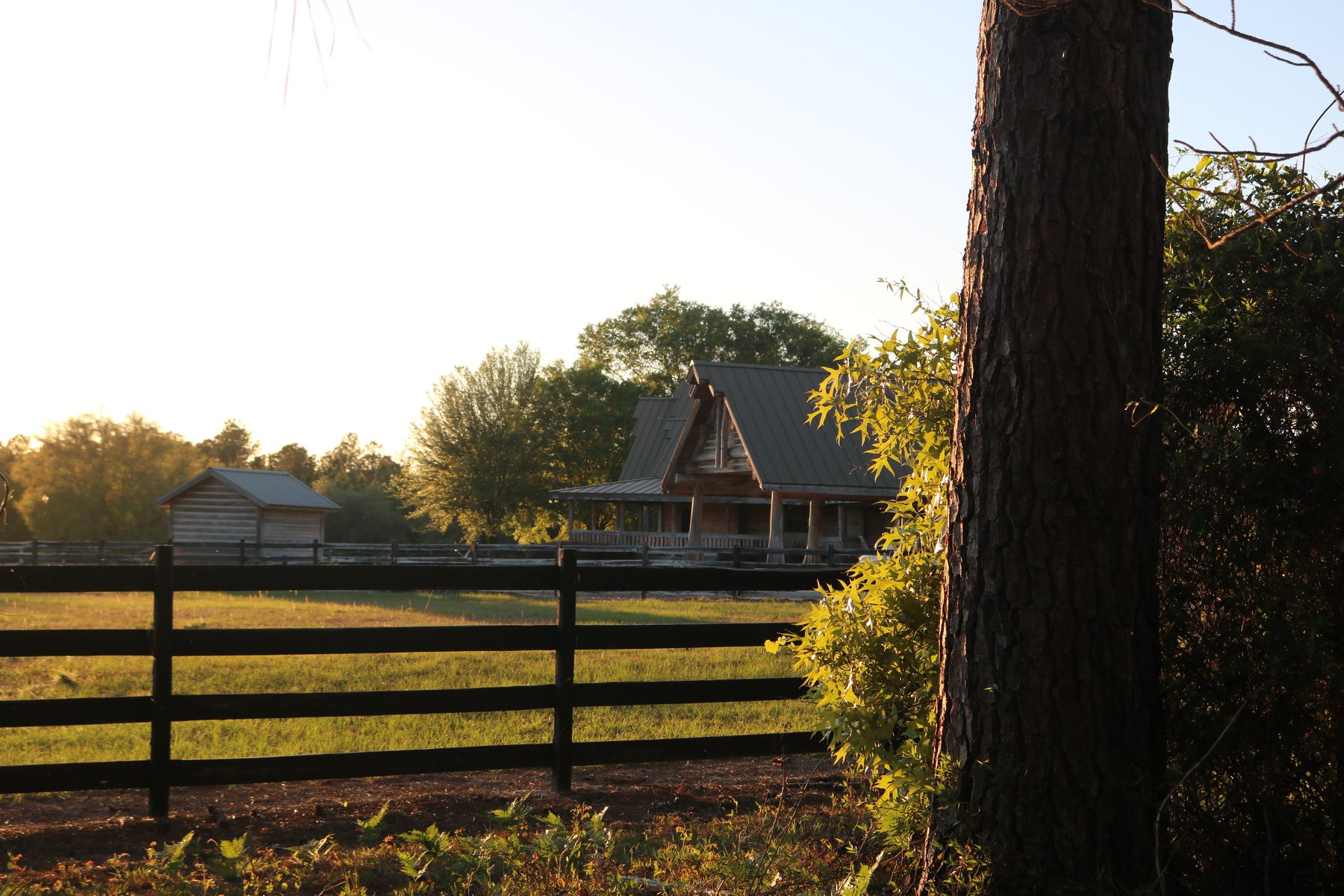 Rear of the Ranch House at golden hour