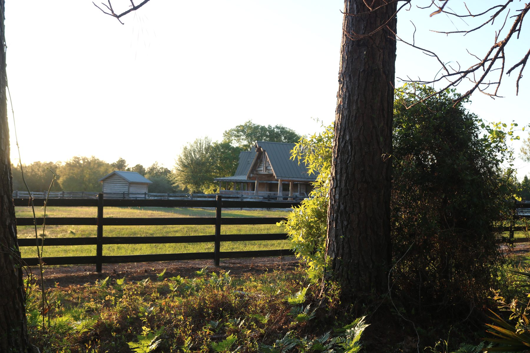 Ranch House rear