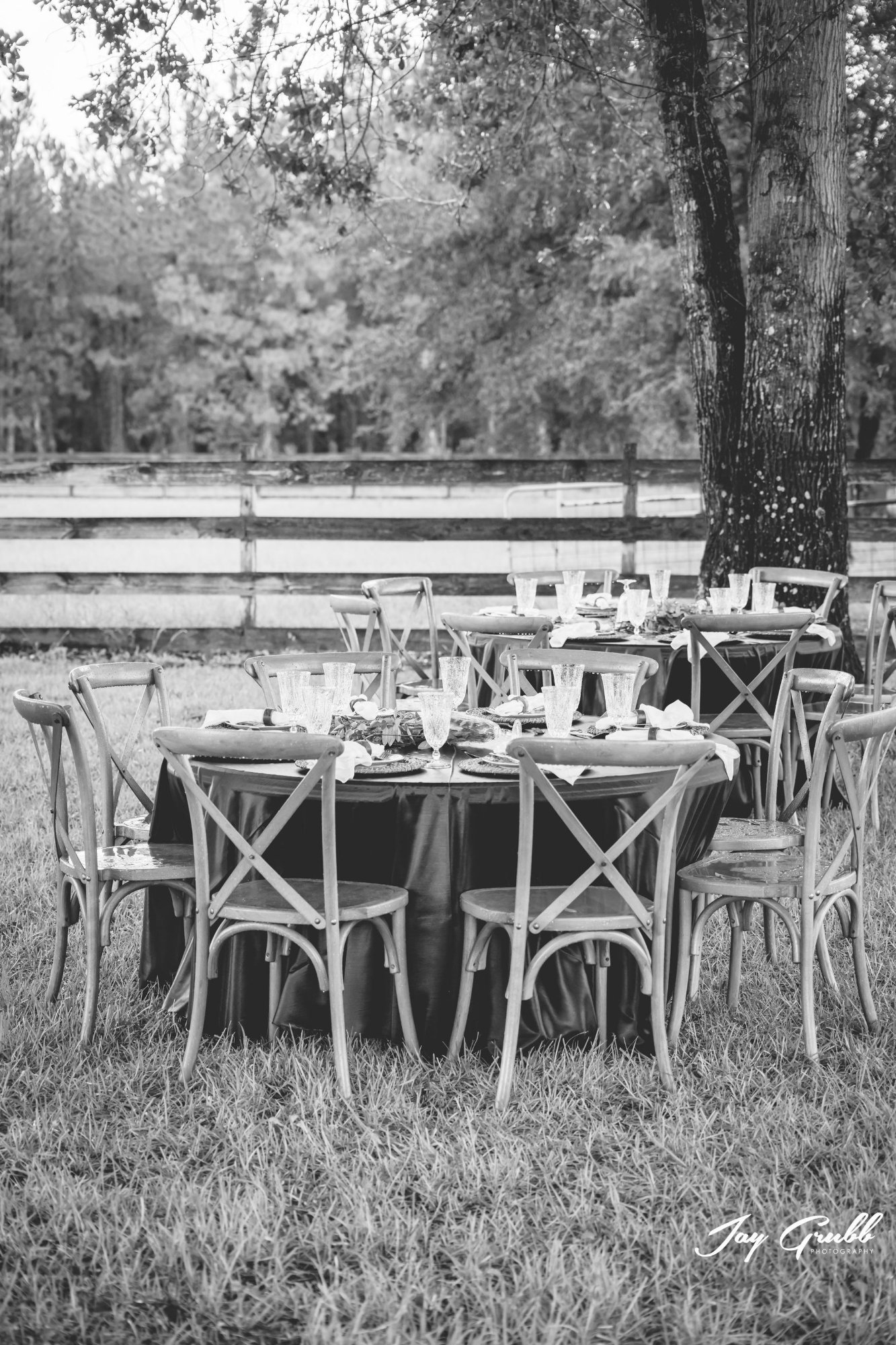Round tables with dark linen and cross-back chairs, set beneath a tree in the pasture